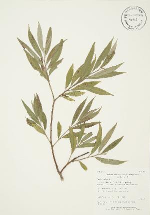  ( - AP375)  @11 [ ] Unspecified (default): All Rights Reserved  Unspecified Unspecified