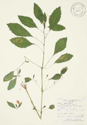  ( - AP207)  @11 [ ] Unspecified (default): All Rights Reserved  Unspecified Unspecified
