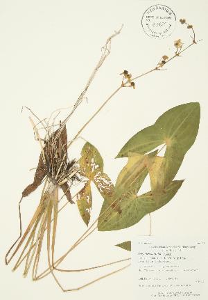  ( - AP220)  @11 [ ] Unspecified (default): All Rights Reserved  Unspecified Unspecified