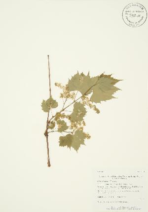  ( - AP104)  @11 [ ] Unspecified (default): All Rights Reserved  Unspecified Unspecified