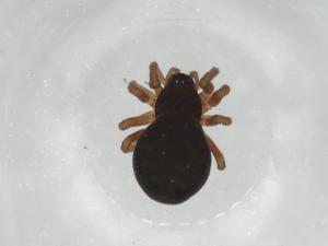  ( - BIOUG90592-E12)  @11 [ ] CreativeCommons - Attribution (2022) Centre for Biodiversity Genomics Centre for Biodiversity Genomics