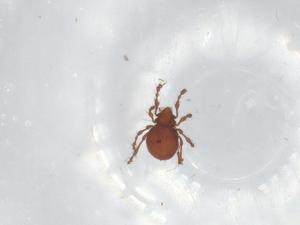  ( - BIOUG92005-D05)  @11 [ ] CreativeCommons - Attribution (2022) Centre for Biodiversity Genomics Centre for Biodiversity Genomics