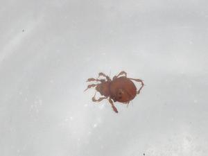  ( - BIOUG92011-E02)  @11 [ ] CreativeCommons - Attribution (2022) Centre for Biodiversity Genomics Centre for Biodiversity Genomics