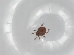  ( - BIOUG95990-E05)  @11 [ ] CreativeCommons - Attribution (2023) Centre for Biodiversity Genomics Centre for Biodiversity Genomics