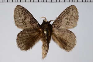  ( - BC-GD0611)  @11 [ ] Copyright (2018) Guy Durand Research Collection of Guy Durand