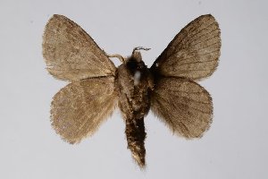  ( - BC-GD0611)  @11 [ ] Copyright (2018) Guy Durand Research Collection of Guy Durand