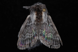  ( - 10-JDWBC-7152)  @13 [ ] CreativeCommons - Attribution (2010) Jeremy deWaard University of British Columbia