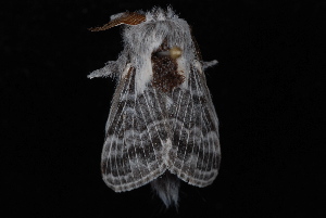  ( - 10-JDWBC-7153)  @13 [ ] CreativeCommons - Attribution (2010) Jeremy deWaard University of British Columbia