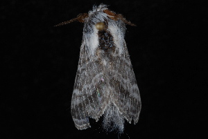  ( - 10-JDWBC-7154)  @13 [ ] CreativeCommons - Attribution (2010) Jeremy deWaard University of British Columbia