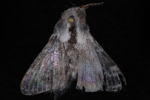  ( - 10-JDWBC-7087)  @13 [ ] CreativeCommons - Attribution (2010) Jeremy deWaard University of British Columbia