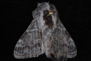  ( - 10-JDWBC-7088)  @13 [ ] CreativeCommons - Attribution (2010) Jeremy deWaard University of British Columbia