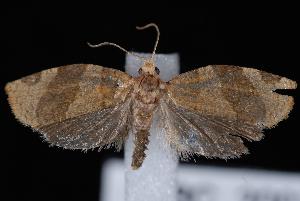  ( - UBC-2007-0266)  @14 [ ] CreativeCommons - Attribution (2010) Jeremy deWaard University of British Columbia