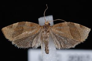  ( - UBC-2007-0267)  @14 [ ] CreativeCommons - Attribution (2010) Jeremy deWaard University of British Columbia