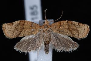  ( - UBC-2007-0185)  @14 [ ] CreativeCommons - Attribution (2010) Jeremy deWaard University of British Columbia