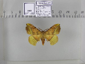  ( - EUPT-11-004)  @12 [ ] Unspecified (default): All Rights Reserved  Unspecified Unspecified