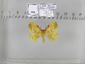  ( - EUPT-11-007)  @12 [ ] Unspecified (default): All Rights Reserved  Unspecified Unspecified