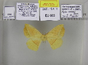  ( - EUPT-11-010)  @12 [ ] Unspecified (default): All Rights Reserved  Unspecified Unspecified