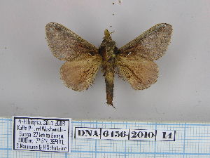  ( - 06456-2010-14)  @13 [ ] Unspecified (default): All Rights Reserved  Unspecified Unspecified