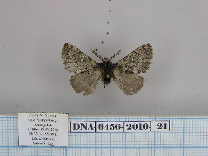 ( - 06456-2010-21)  @12 [ ] Unspecified (default): All Rights Reserved  Unspecified Unspecified
