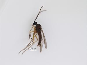  ( - LW-XG375-2)  @11 [ ] CreativeCommonsAttribution Non-Commercial (2488) Unspecified Zhejiang A&F University