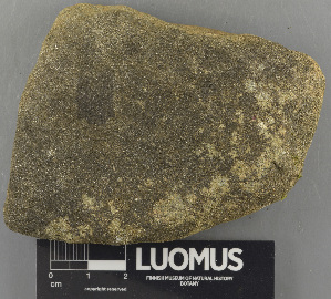  ( - H9243661)  @11 [ ] by-nc (2024) Erkka Laine Luomus