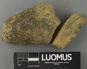  (Verrucaria linkolae - H9243203)  @11 [ ] by-nc (2024) Erkka Laine Luomus