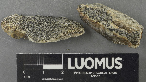  ( - H9243216)  @11 [ ] by-nc (2024) Erkka Laine Luomus