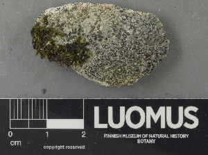  ( - H9243226)  @11 [ ] by-nc (2024) Erkka Laine Luomus