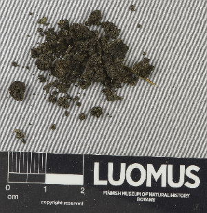  ( - H9243516)  @11 [ ] by-nc (2024) Erkka Laine Luomus