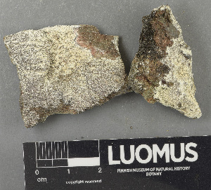  ( - H9243616)  @11 [ ] by-nc (2024) Erkka Laine Luomus