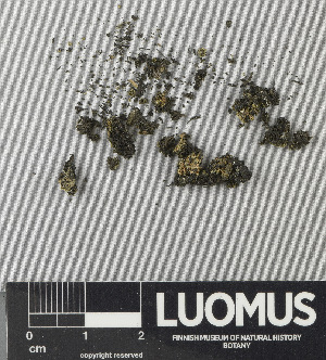  ( - H9243346)  @11 [ ] by-nc (2024) Erkka Laine Luomus