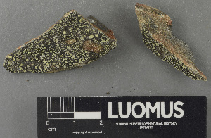  ( - H9243165)  @11 [ ] by-nc (2024) Erkka Laine Luomus