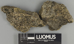  ( - H9237529.1)  @11 [ ] by-nc (2025) Erkka Laine Luomus