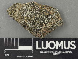  ( - H9243350)  @11 [ ] by-nc (2024) Erkka Laine Luomus