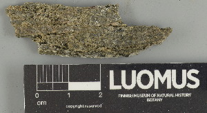  ( - H9247503)  @11 [ ] by-nc (2025) Erkka Laine Luomus