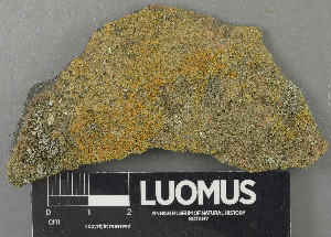  ( - H9243638)  @11 [ ] by-nc (2024) Erkka Laine Luomus