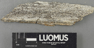 ( - H9243548)  @11 [ ] by-nc (2024) Erkka Laine Luomus