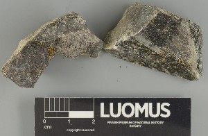  ( - H9238150.1)  @11 [ ] by-nc (2025) Erkka Laine Luomus