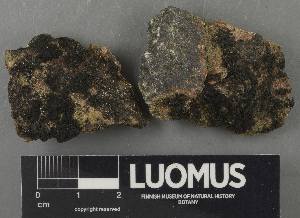  ( - H9243181)  @11 [ ] by-nc (2024) Erkka Laine Luomus