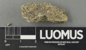  ( - H9243457)  @11 [ ] by-nc (2024) Erkka Laine Luomus
