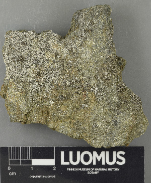  ( - H9243368)  @11 [ ] by-nc (2024) Erkka Laine Luomus