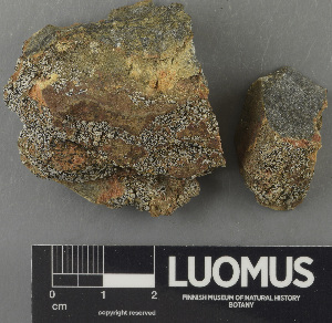  ( - H9243188)  @11 [ ] by-nc (2024) Erkka Laine Luomus