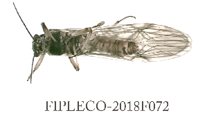  ( - FIPLECO-2018F072)  @11 [ ] CreativeCommons - Attribution Non-Commercial (2019) Aki Rinne Unspecified
