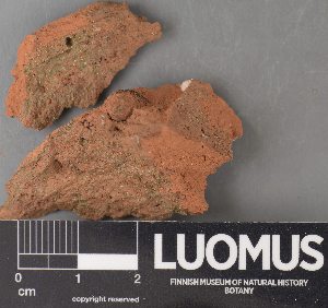  ( - H9214514)  @11 [ ] by-nc (2023) Erkka Laine Luomus