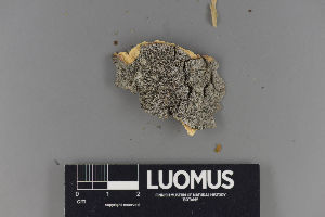  ( - H9220028)  @11 [ ] by-nc (2018) Marko Mutanen University of Oulu