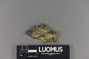  ( - H9220034)  @11 [ ] by-nc (2018) Marko Mutanen University of Oulu