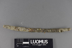  ( - H9220181)  @11 [ ] by-nc (2018) Marko Mutanen University of Oulu