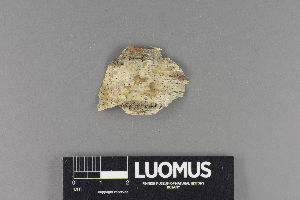  ( - H9221106)  @11 [ ] by-nc (2018) Marko Mutanen University of Oulu