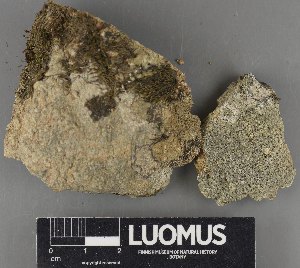  ( - H9233187)  @11 [ ] by-nc (2023) Erkka Laine Luomus