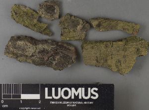  ( - H9237574)  @11 [ ] by-nc (2023) Erkka Laine Luomus